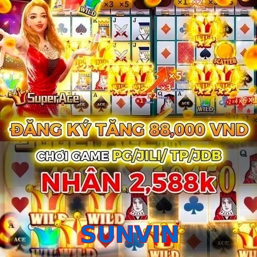 SUNVIN